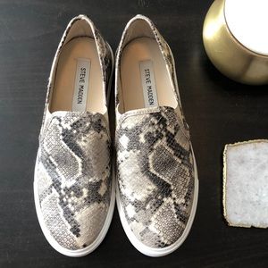 Steve Madden Ecentrcq slip-on sneaker